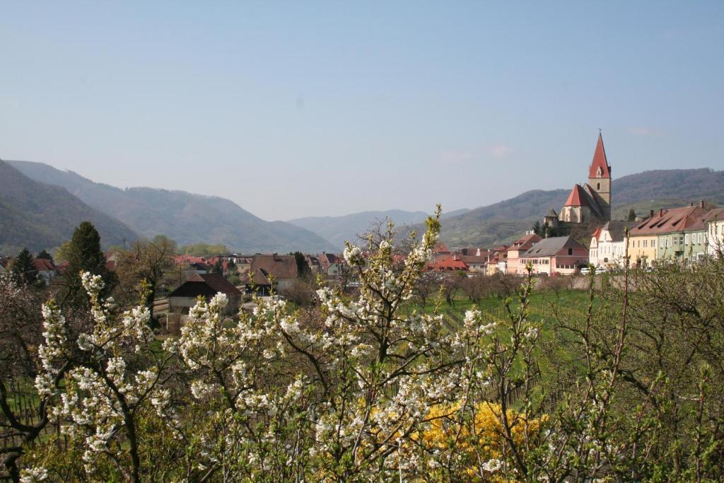 Donauhof - Hotel Garni Weissenkirchen in der Wachau Exterior photo